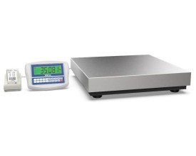 Bilancia Industriale a piattaforma TWP con Etichettatrice dim 600x600