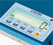 Indicatore Integrato