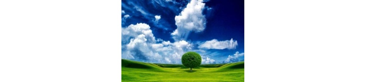 Misurare la qualità dell'aria con le microbilance