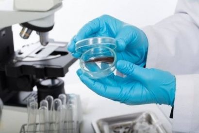 La pesatura di precisione nell'analisi forense