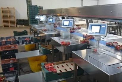 Bilance e Sicurezza Alimentare